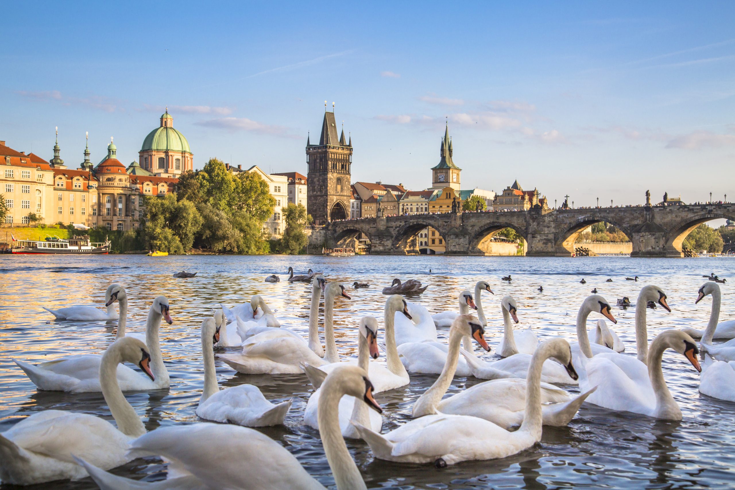 Prague in Depth: Old Town to Vltava Cruise in One Day